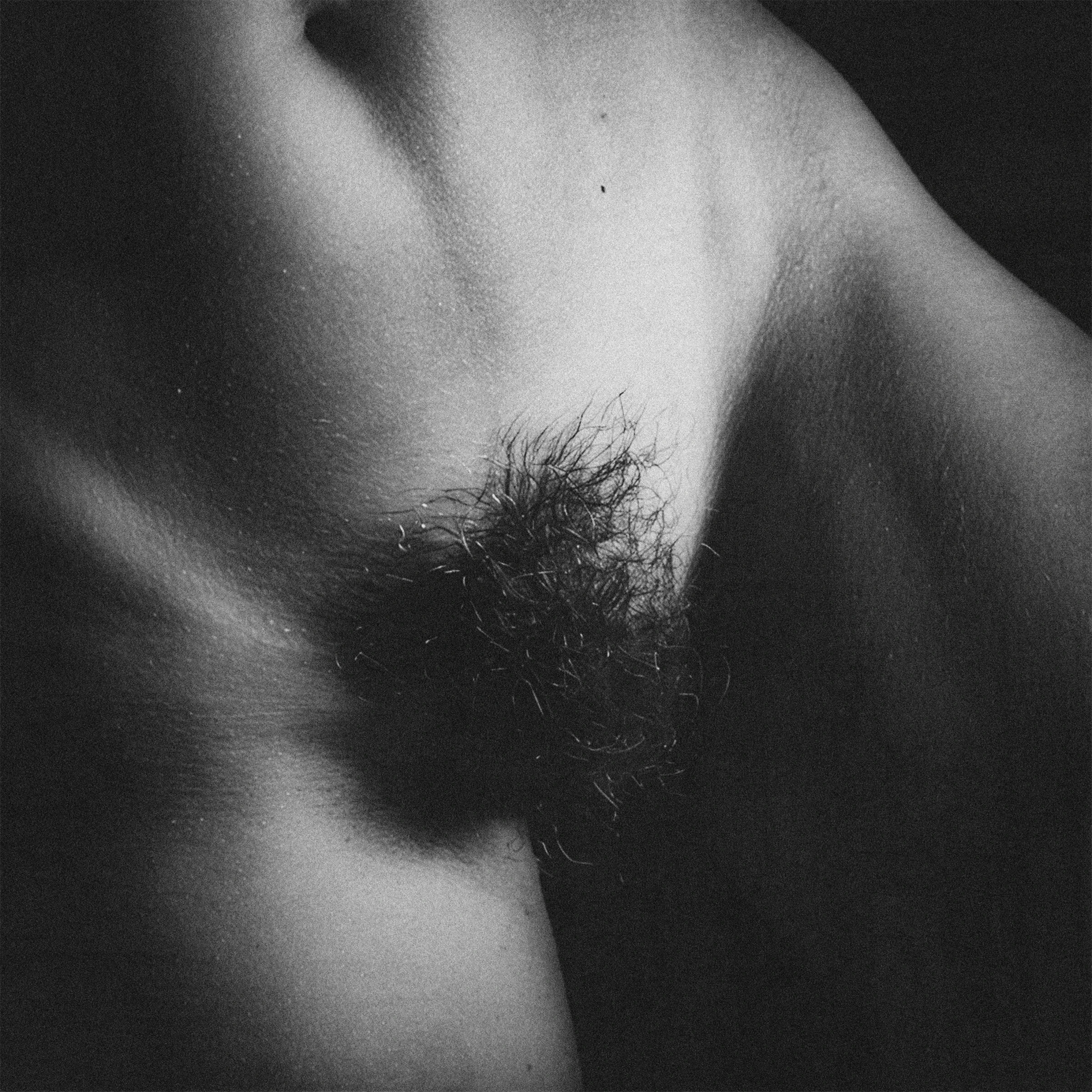 Ombre et plaisir (2026)