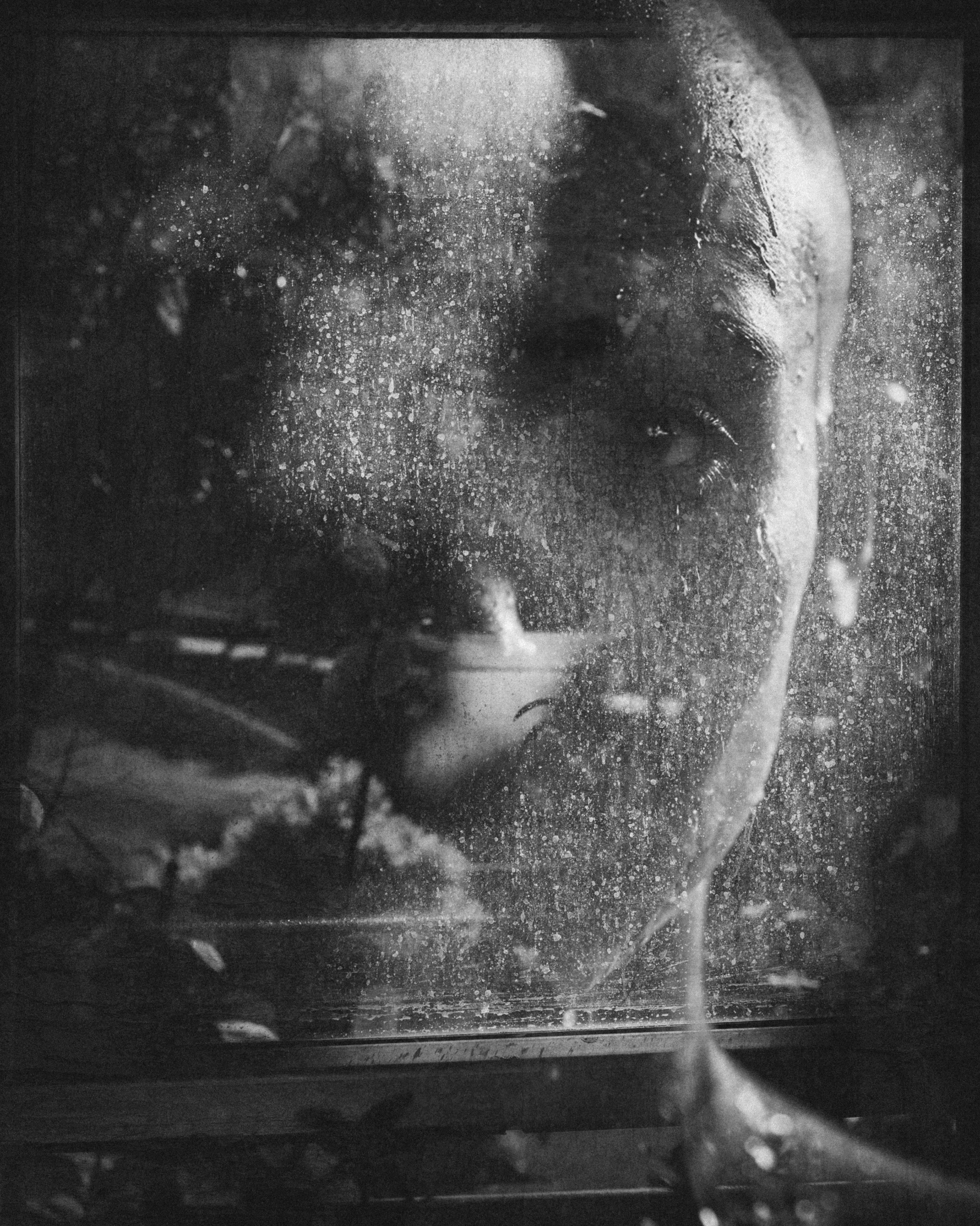 Veiled Presence — Black & White Portrait Through Glass Fine Art