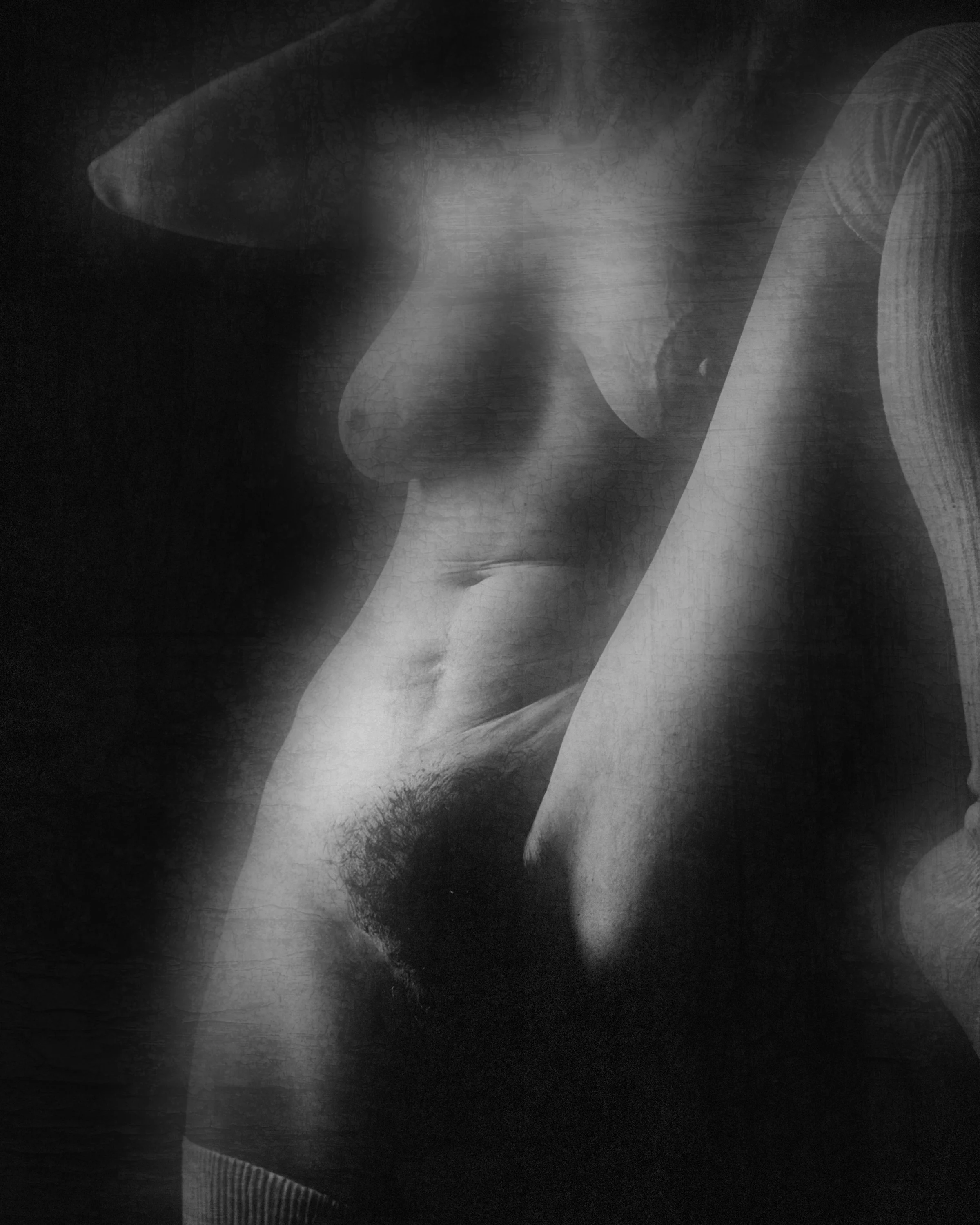 The Woman of Forbidden Desires